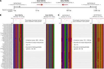 Novel Mitochondrial DNA Markers for Scleractinian Corals and Generic-Level Environmental DNA Metabarcoding